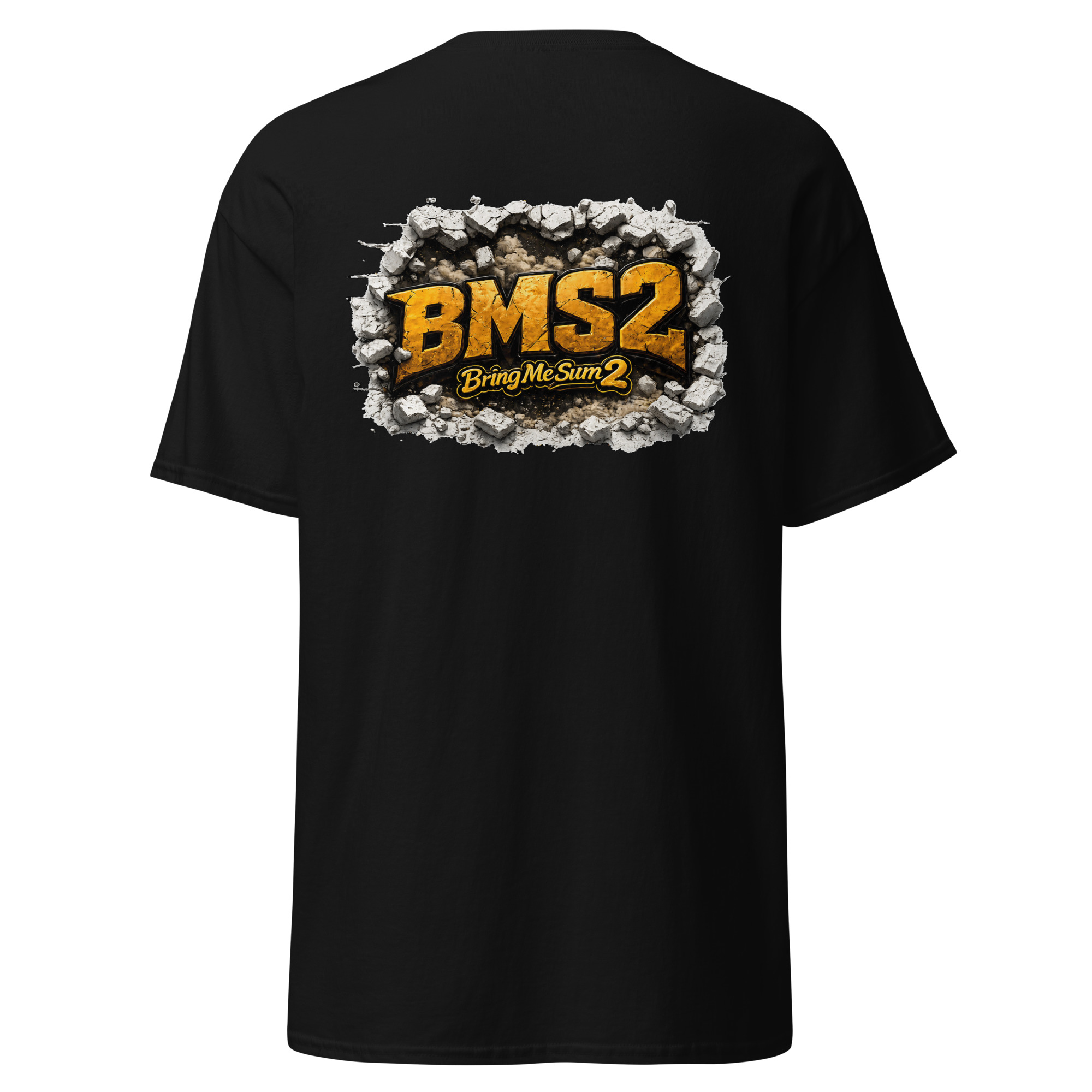 unisex-classic-tee-black-back-6a35623272b89